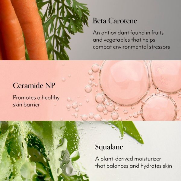 Mighty Biome Skin Barrier Moisturizer - Image 4