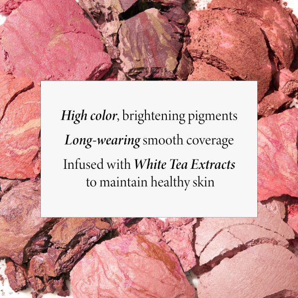 Home & Away Blush-n-Brighten Kit (2 PC) - Image 7